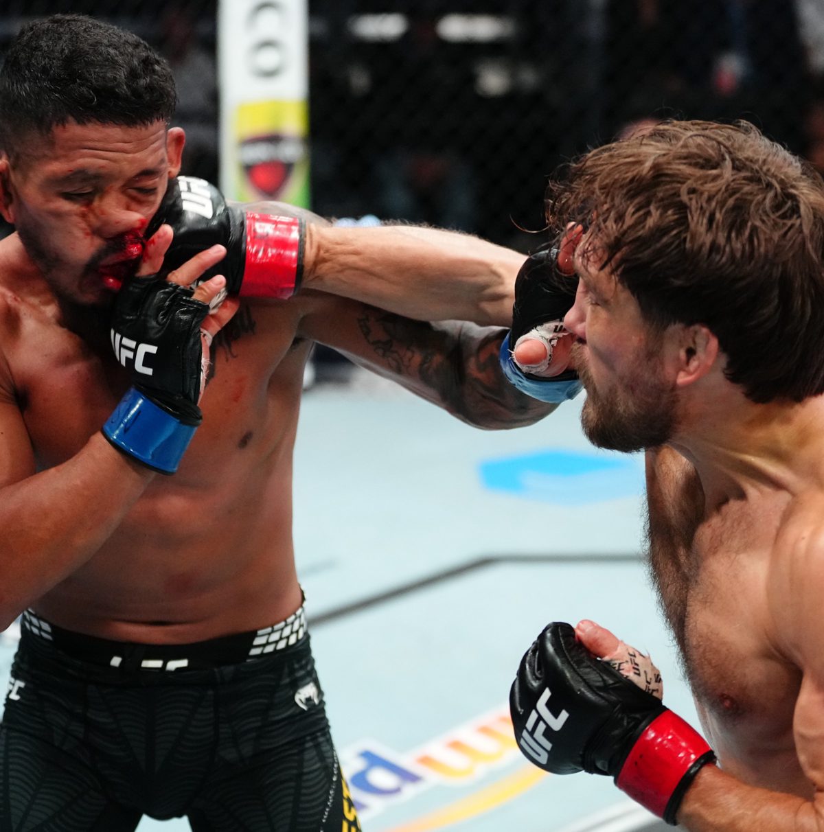 Alessandro Costa derruba rival com body shot milimetricamente estudado