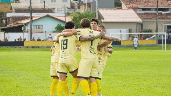 Avaí precisa de 68 pontos para o acesso e tem apenas 40% de chance real