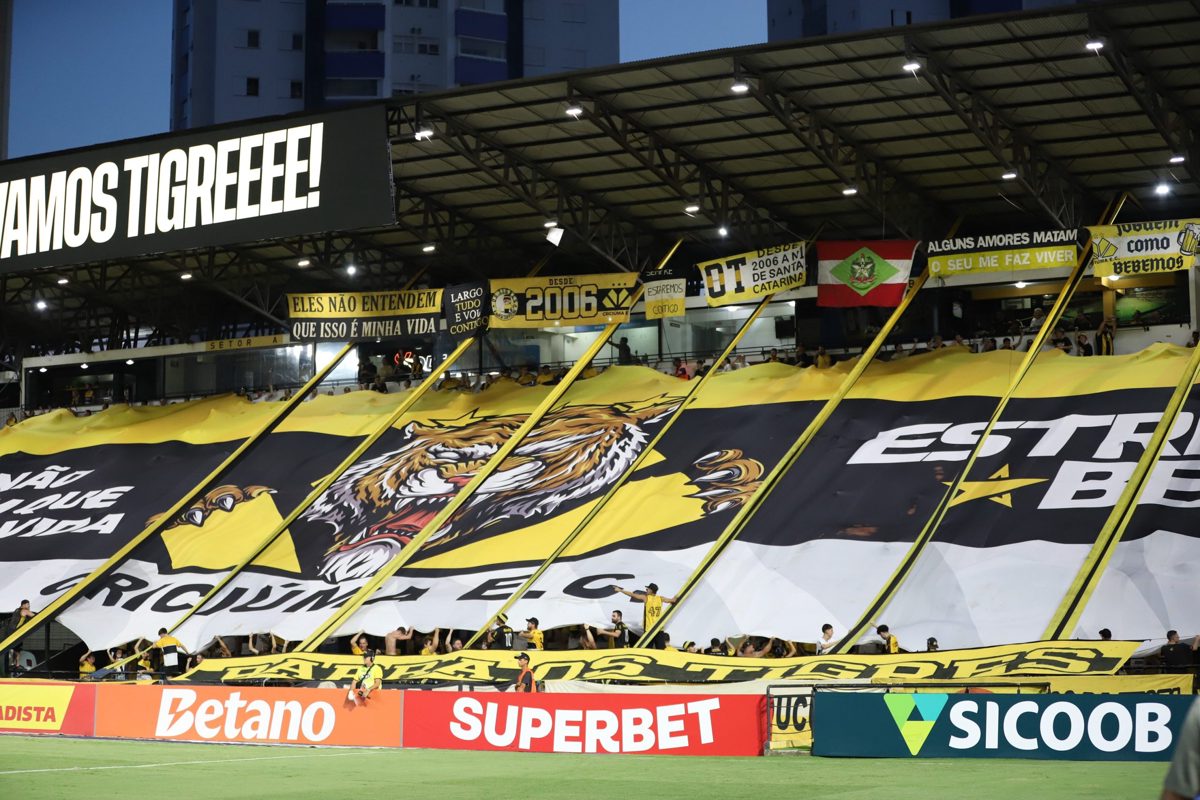 A aposta catarinense nas revelações Goiás e Criciúma provam que gestão intel