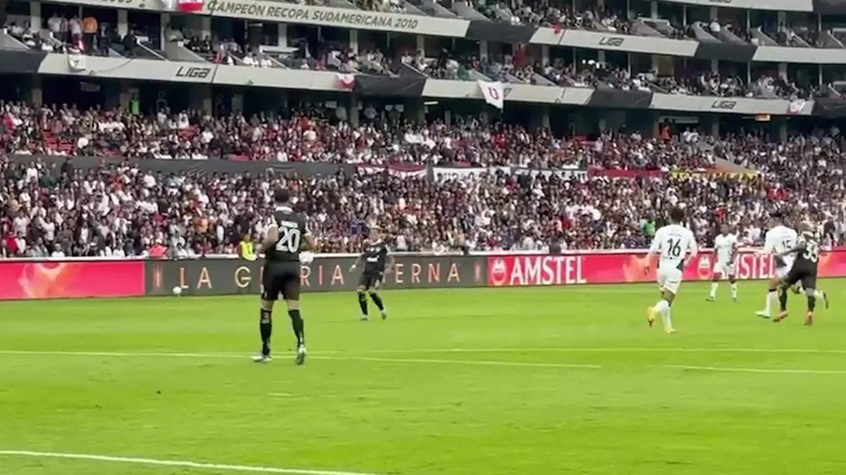 Botafogo vira peneira e soma 12 jogos seguidos sofrendo gols