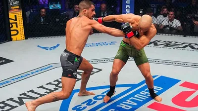Paternidade muda a carreira de lutadores brasileiros no UFC