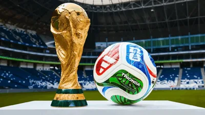 Pesquisa revela perfil dos 54% de brasileiros que perderam interesse na Copa