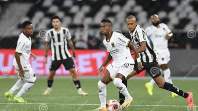 Sem Allan por dois meses, Franclim Carvalho precisa reinventar o Botafogo