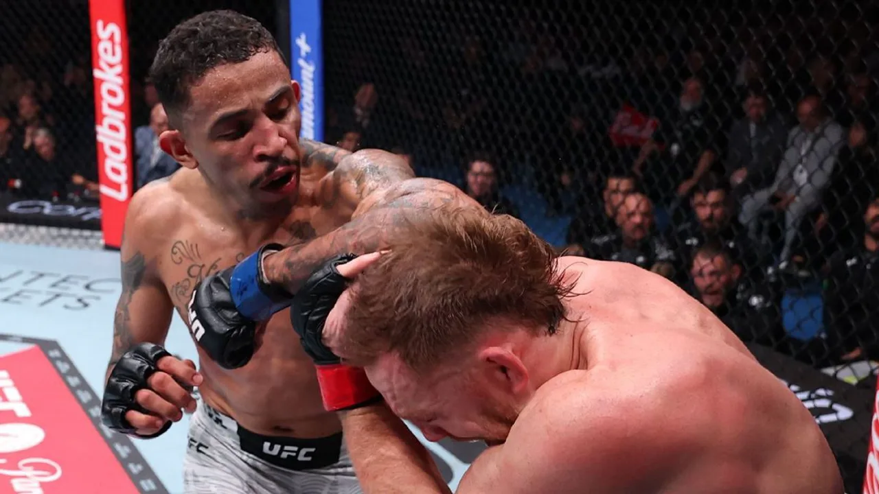 Octógono do UFC visto de cima, vazio, com iluminação dramática de arena — símbolo do esporte de combate mais assistido do mundo