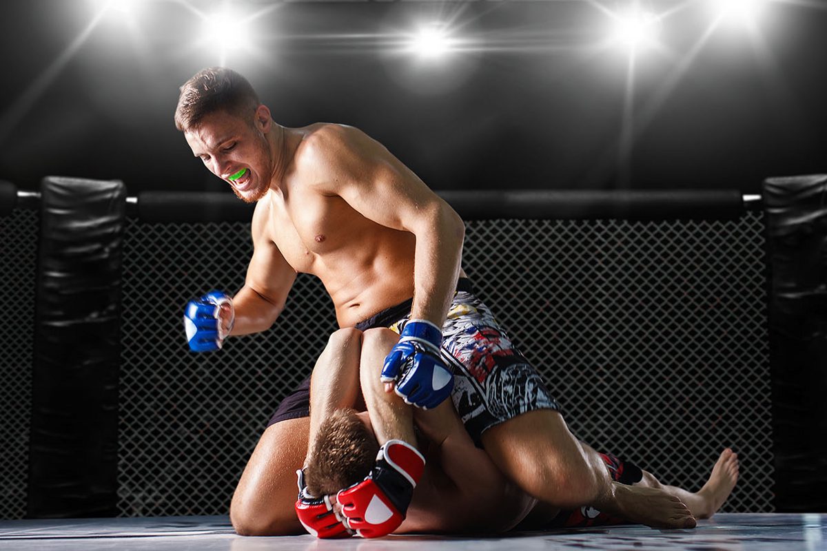 A escola que primeiro defendeu este conceito Como surgiu o UFC e quem foi seu cr