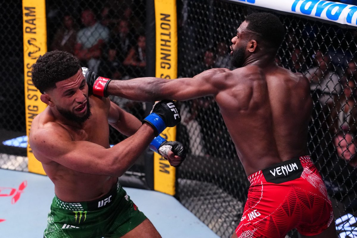 O conceito desmontado em três partes Sistema de pesos no UFC explicado de for