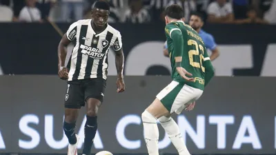 Flamengo apagou o Botafogo no Nilton Santos e os números mostram por quê