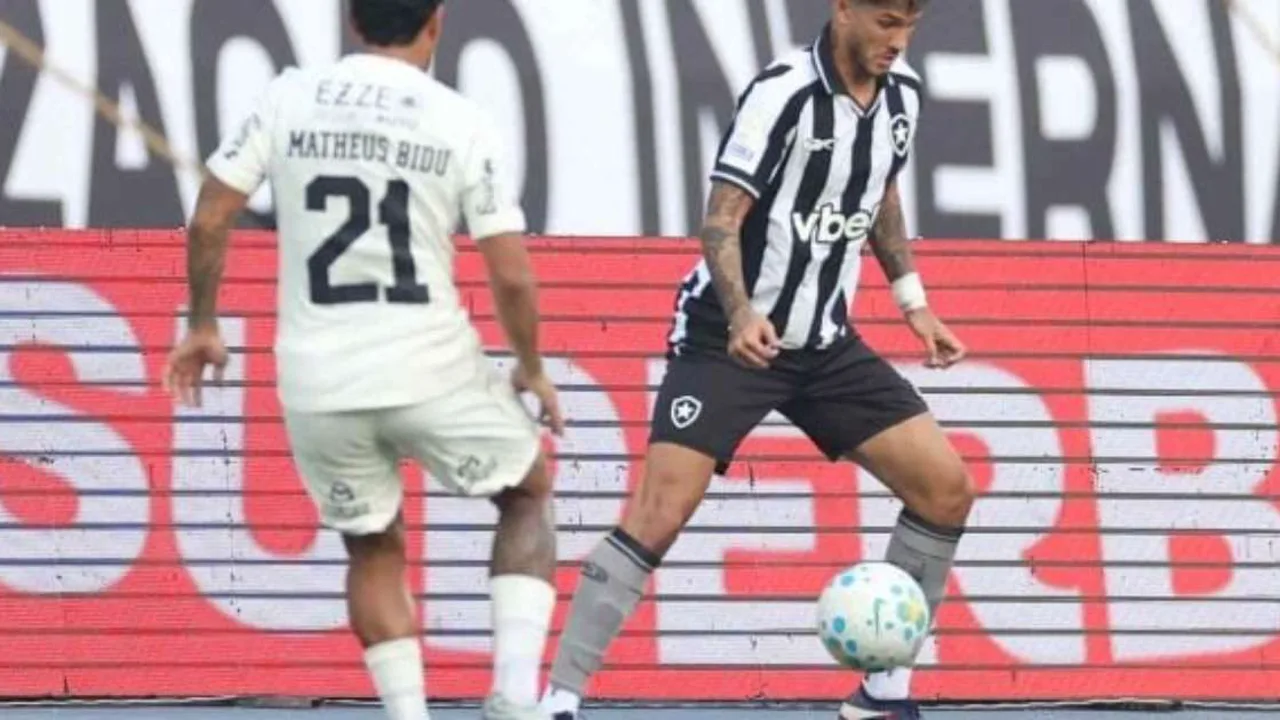Jogadores do Botafogo em campo durante partida pelo Brasileirão 2026 no Estádio Nilton Santos
