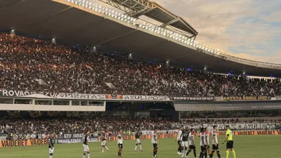 Animal marinho interrompe semifinal brasileira e WSL aciona protocolo de emergência