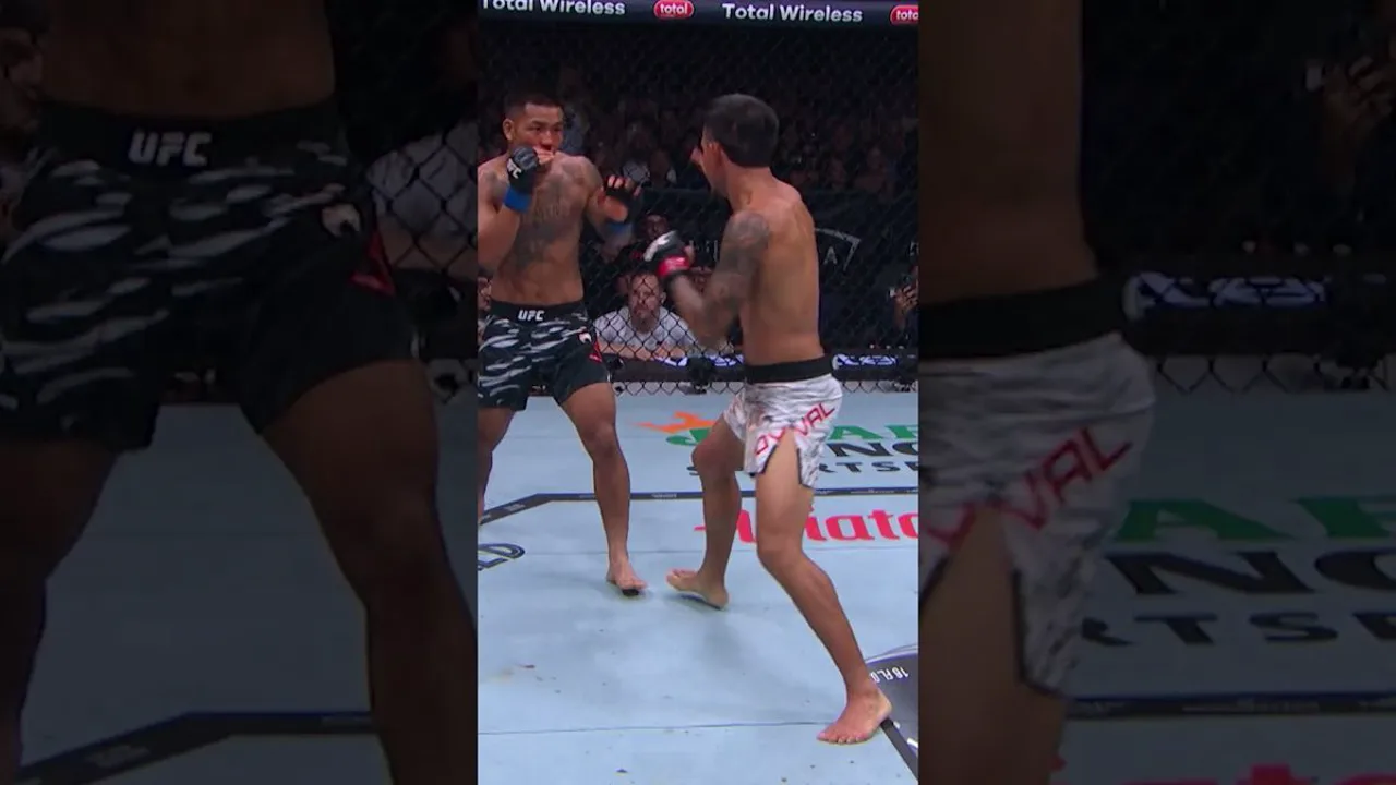 Octógono do UFC vazio iluminado por holofotes, com a grade de aço característica da organização ao fundo