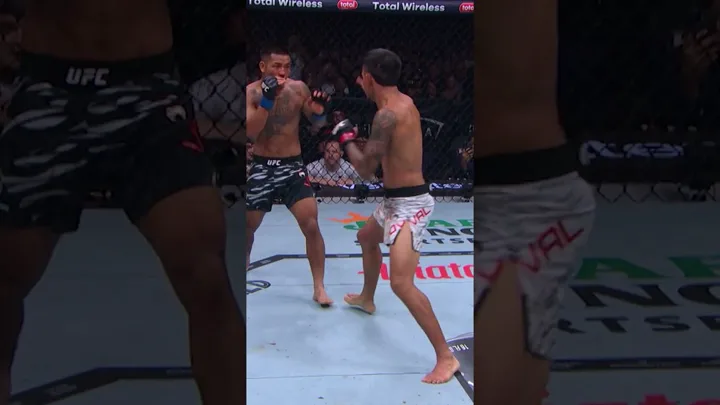 Octógono do UFC vazio iluminado por holofotes, com a grade de aço característica da organização ao fundo