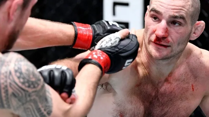 Octógono do UFC visto de cima com iluminação de arena, representando a origem do esporte de combate
