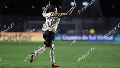 Hygor, o centroavante de 33 anos que Botafogo SP escalou 31 vezes e não para de marcar