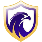 Falcons FC