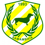 Samambaia
