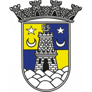 Sintrense Y19
