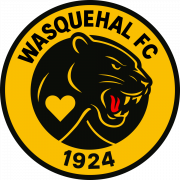 Wasquehal U19