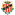 Gimnàstic