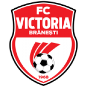 Vic. Branesti
