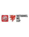 Welsh League Cup