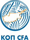 Cypriot Super Cup