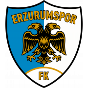 Erzurumspor FK